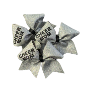 Mini Cheer mom