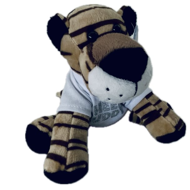 Cheer Bamse - David - Tiger