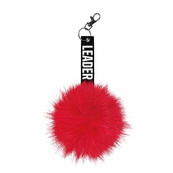 Cheer pom nglering i rd