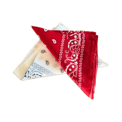 Denmark Bandana