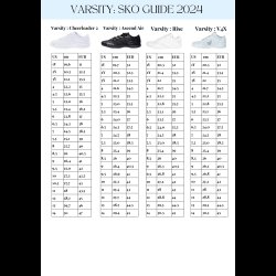 Varsity Cheerleader II